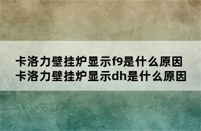 卡洛力壁挂炉显示f9是什么原因 卡洛力壁挂炉显示dh是什么原因